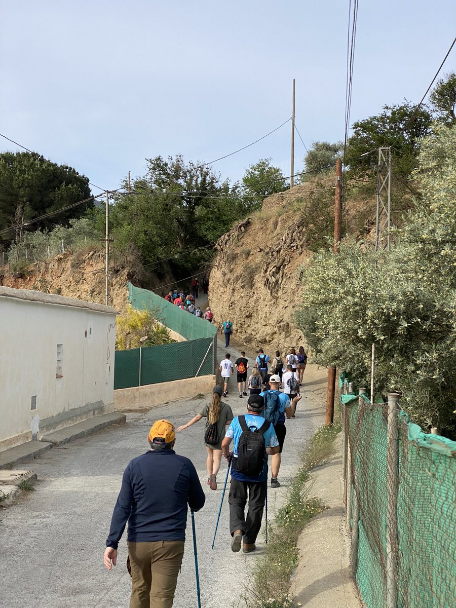 Francisco Valdivieso Gonzalez tweet media