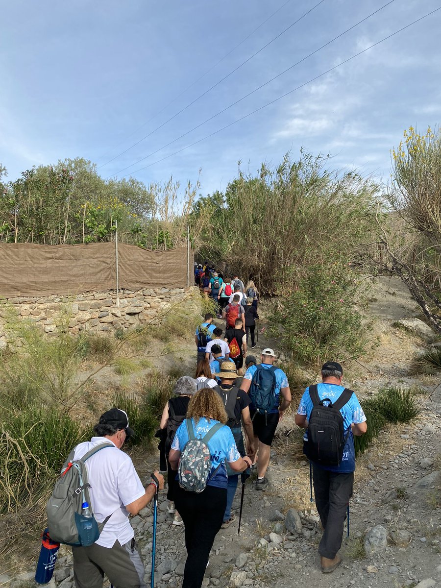 Francisco Valdivieso Gonzalez tweet media