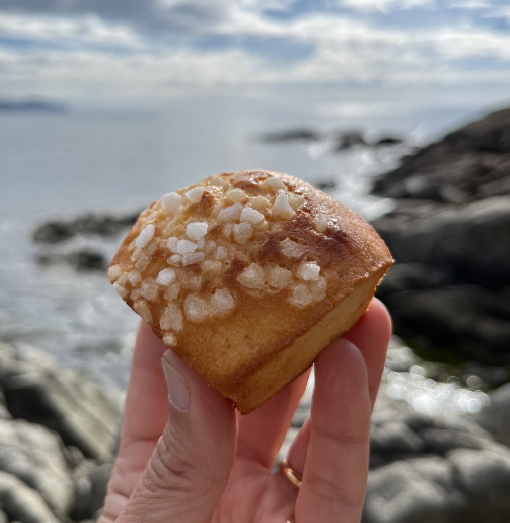 MTarradellas's tweet photo. Avui la Zewde està de #shooting a la #calasantfrancesc de #blanes…i jo li he fet aquests minicakes de llimona pel #catering! Estan deliciosos! #minilemoncakes #lemoncakes #minicakes #pastissetsdellimona #llimona #lemon https://t.co/oRZruygGig