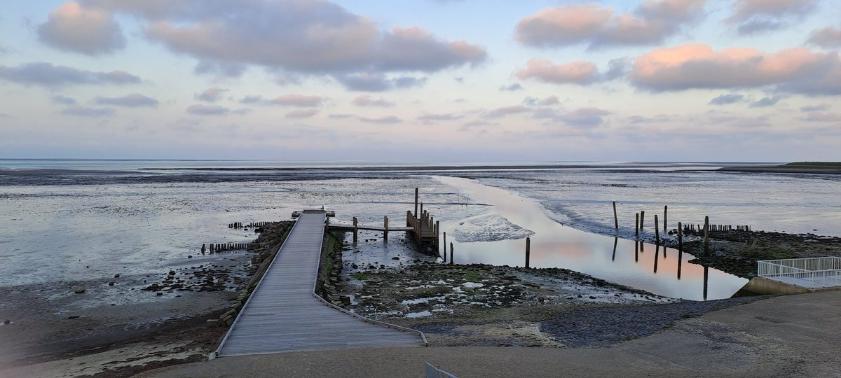 Heleenverduijn's tweet photo. Terwijl op Texel de kruitdampen van de #meierblis nog te ruiken zijn genieten wij van het wad!
Vandaag weer welkom! De hele dag is het water laag, daarom veel wadvogels te zien én #zeehonden!
@natuurdigitaal #vogelinformatiecentrum
@VVVTexel @NMTexel @staatsbosbeheer https://t.co/XMrIdrgcRu