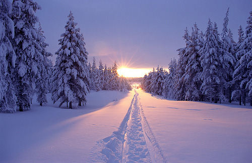 NikkiDale's tweet photo. Snow Sunset, Vancouver, Canada #SnowSunset #Vancouver #Canada https://t.co/4hzeZCMWC5 https://t.co/sHGlJlCwSu