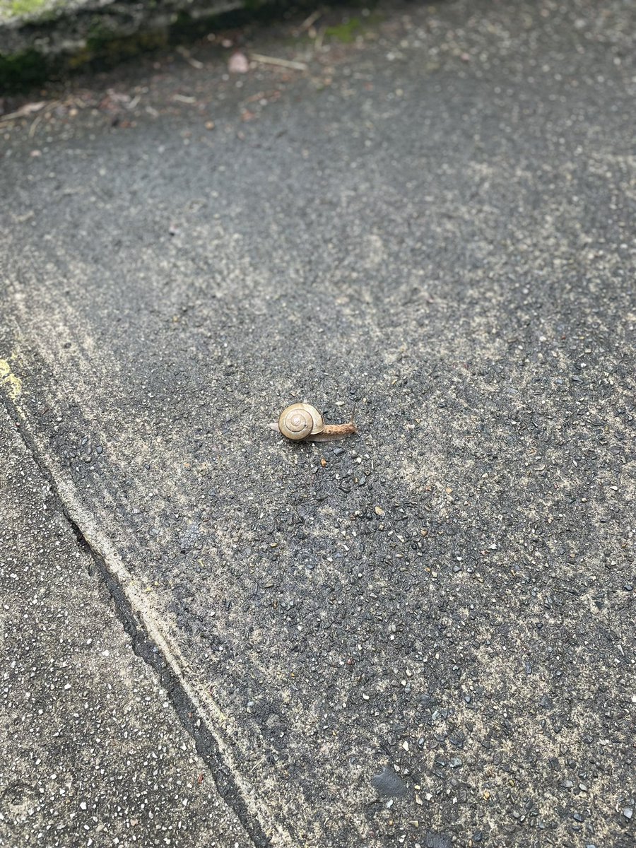 hisayoshimouri's tweet photo. 【あまっ子自習室】
本日もあまっ子自習室に参加して来ました。
集中して取り組む子、何度も質問に来る子、
各々が一生懸命取り組んでいました。

私自身も探り探りですが、
自分の経験を活かし、
子どもたちのサポートが続けられれば、と
思います。

#あま市
#自習室 https://t.co/5IBJadfrgr