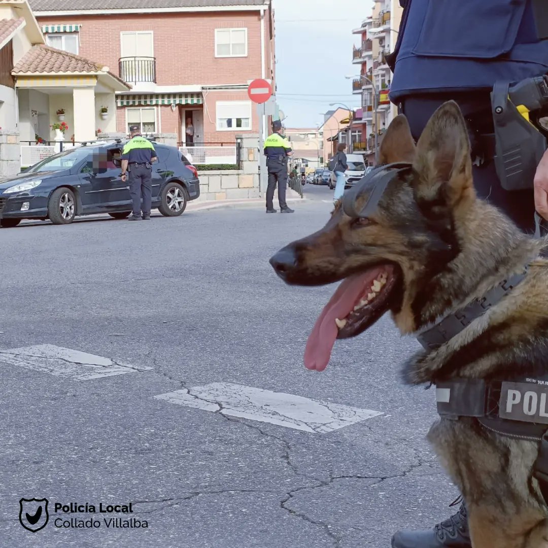 PoliciaVillalba's tweet photo. #Controles
🎉 #1deMayo San José Obrero, fiestas en el barrio de el #Gorronal
👮♂️ Intensificamos los controles de Alcoholemia y otras Drogas por todo el municipio 🍺
👮♀️👍👌
#Fiestas #SanJoseObrero #ElGorronal #ColladoVillalba #ColladoVillalbaSegura #PoliciaVillalba #PLocal https://t.co/BPpIwbmiDo
