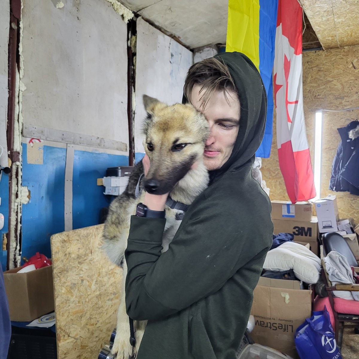 OnTheFrontUA's tweet photo. 😭 this the best news. I am so happy to hear this.

Thank you donors for helping @UAWW2022 and I take care of her needs for the first fee days of her adventure. 

Thank you @AnimalRescueUA for this.

Now she has a home 🥹💙💛

#DogsofUkraine
#OneTeamOneFight https://t.co/vMzqoxEbhN
