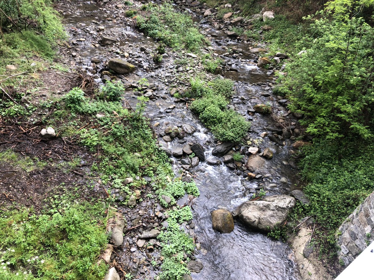 PerxePriorat's tweet photo. Se tornar a sentir lo rec del molí, camí de la Llitera.  Ha plogut, però no pas prou. La broma encara tapa la Pica.. https://t.co/FUjYfY4cRM
