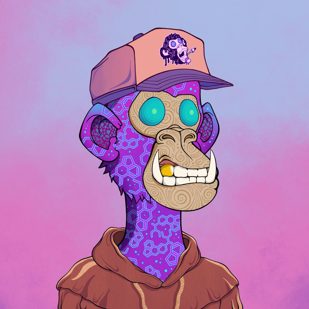𝐙𝐞𝐫𝐞𝐛𝐮𝐬 tweet media