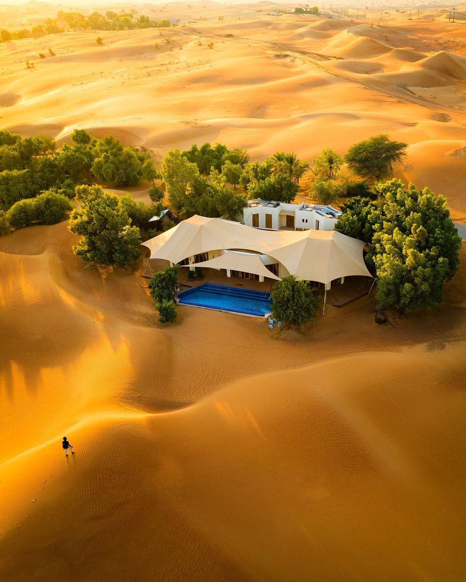 worldtravelmag2's tweet photo. Gold, Green & Blue! The beautiful visual when you are in a desert oasis! Check out Al Maha Desert Resort & Spa, a Bedouin style getaway in Dubai!
📸 @pixelpann
@almaha_resort
#Travel #LuxuryTravel #Dubai #DesertResort
Reposted from @visitdubai https://t.co/I6iyqGMAcT