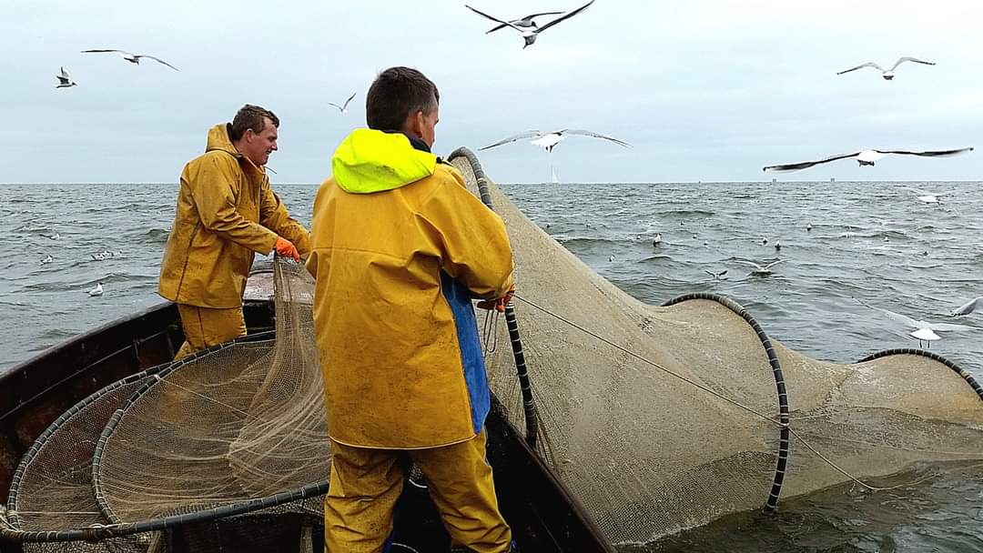 palingvissers's tweet photo. Maandag 1 mei mogen op het IJsselmeer en het Markermeer de palingfuiken weer het water in. Petri Heil. Goede vangst mannen! https://t.co/4jVcGEyBZX