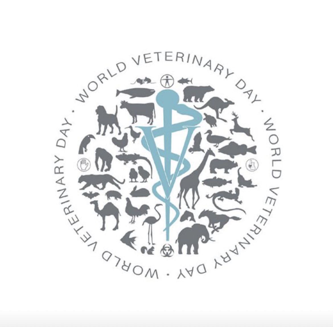 FishVetReichley's tweet photo. Happy #WorldVeterinaryDay! I am fortunate to be in Thailand on this special day to recognize the contributions of veterinarians around the globe. So far in 2023, I have flown 35,646 (1.4x around the world), visiting 12 airports in 9 countries. #fishvet https://t.co/MqEWeG48D9