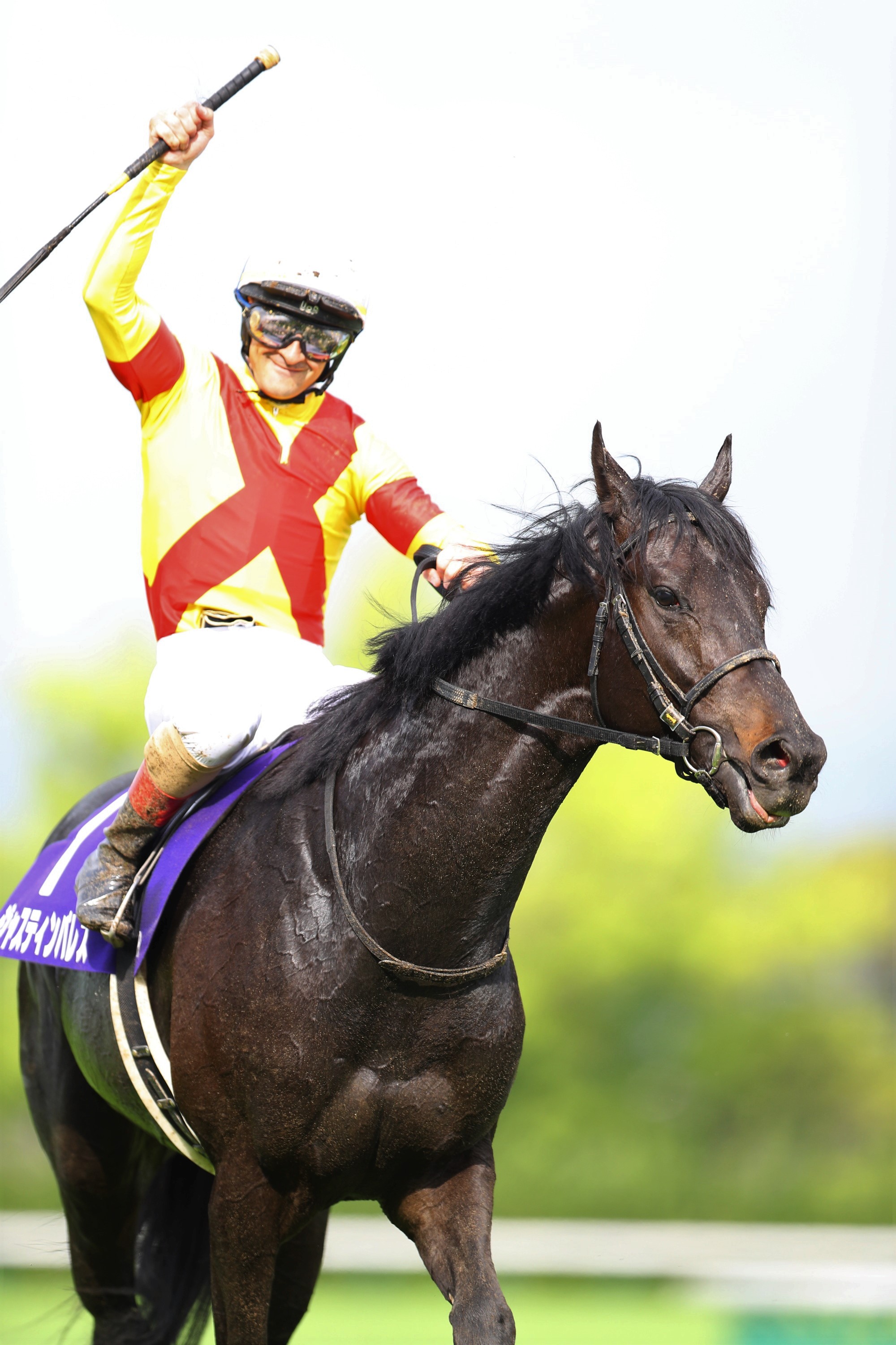 ◆　競馬　JRA　◆　ジャスティンパレス　◆　天皇賞春　◆　２種類セット　◆ 天皇賞・春】ジャスティンパレスがG1・6度目挑戦で初制覇