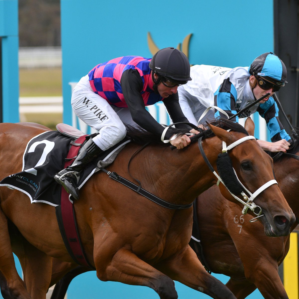 bet365_aus's tweet image. Dom To Shoot showing a strong turn of foot to take out the G3 Northam Stakes! 🏇

William Pike now has four winners at Northam. ✅✅✅✅

#Northam