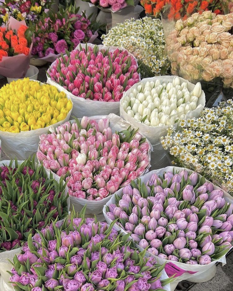 malusokay's tweet photo. Pretty flowers just for you 🤍 https://t.co/JQVQuPCiTD