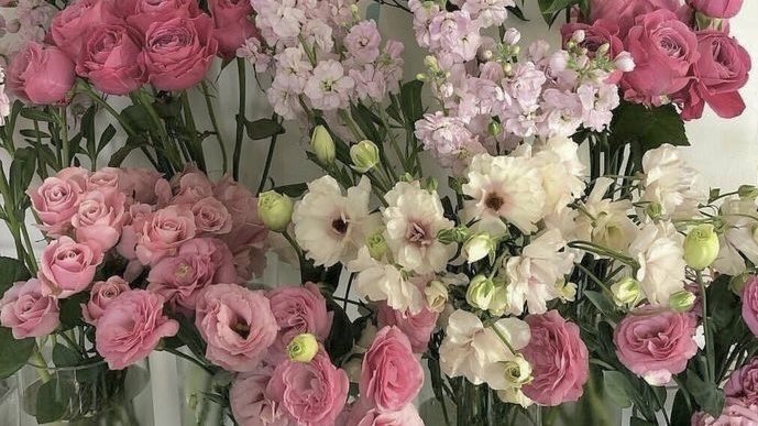malusokay's tweet photo. Pretty flowers just for you 🤍 https://t.co/JQVQuPCiTD