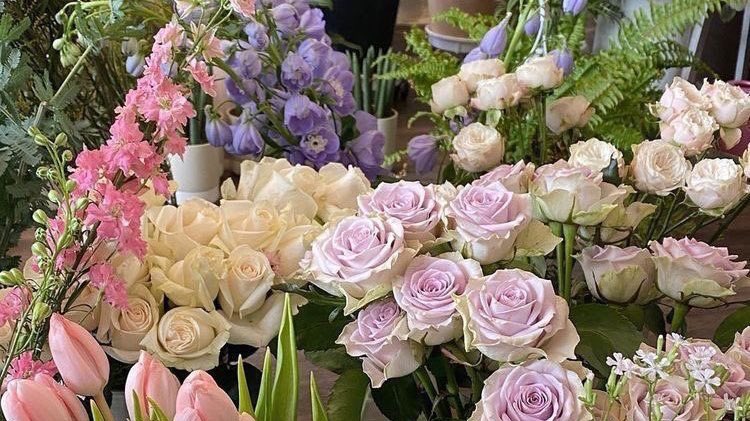 malusokay's tweet photo. Pretty flowers just for you 🤍 https://t.co/JQVQuPCiTD