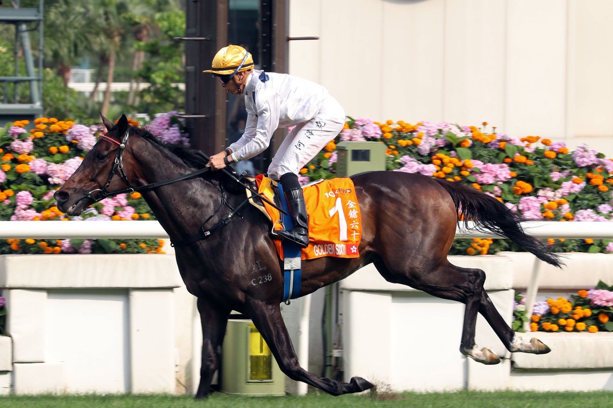 HKJC Racing tweet media