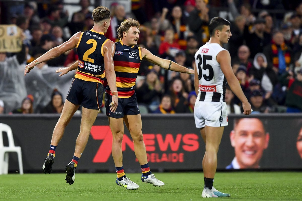 Fox Footy tweet media