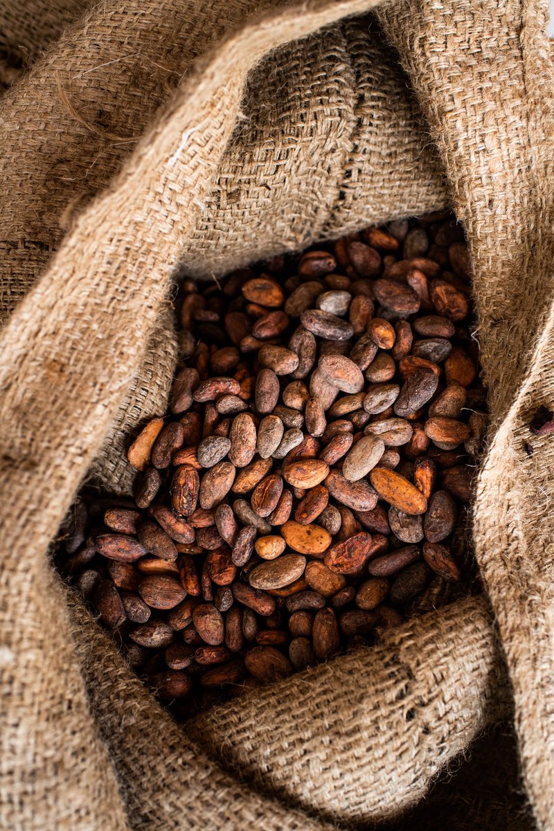 JamesNzanzu's tweet photo. Il y a 20 ans, la production de cacao en #RDC était nulle. 
Aujourd'hui, l'Est de la #RDC  est l'une des régions productrices de cacao et dont la croissance est la plus rapide au monde. Son exportation est evalué à 50 000 tonnes par an.
1/n

#agribusinesstalk , #agriculture https://t.co/DThnwwLkGA