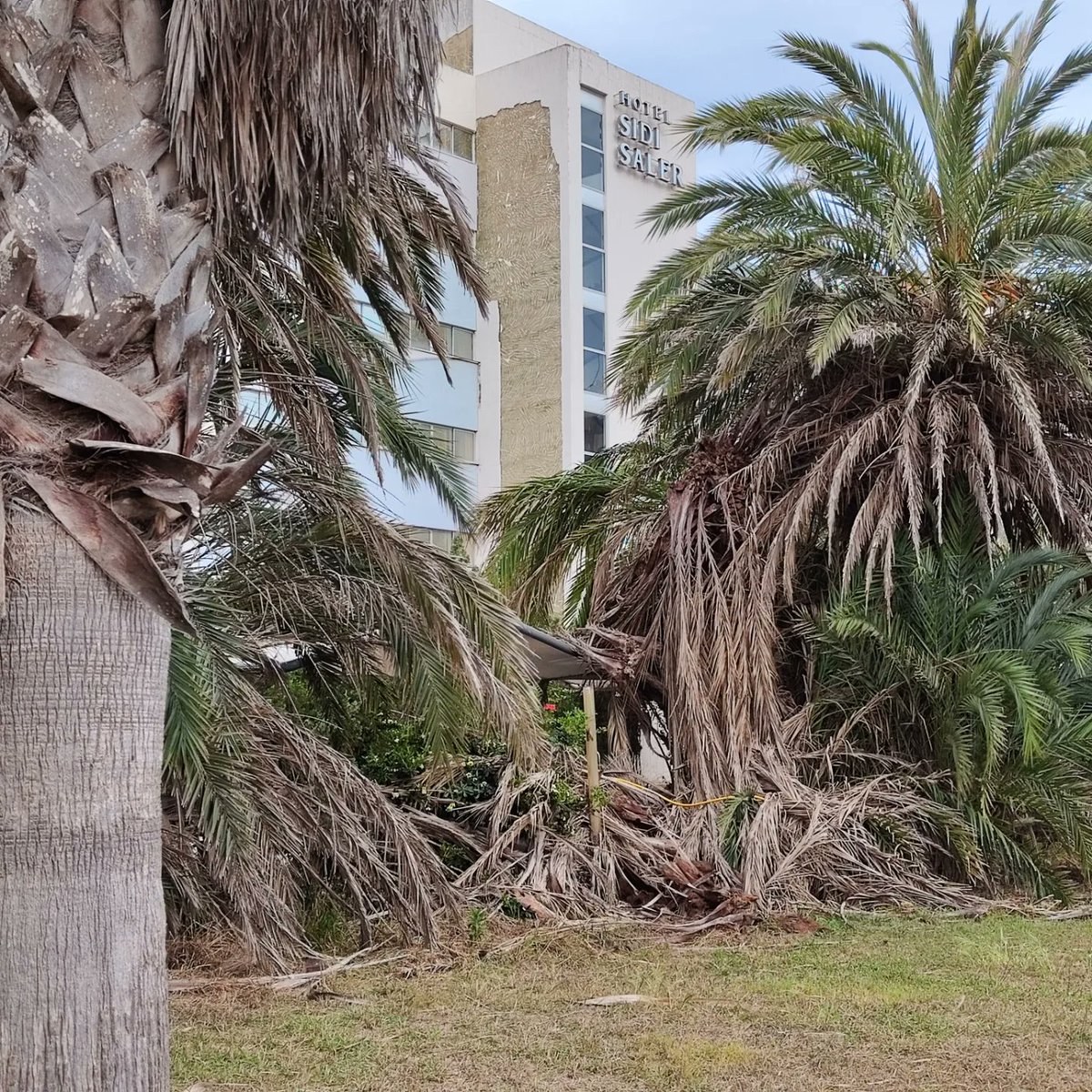 Eljuanca26's tweet image. Hotel SIDI Saler, El Saler, Valencia. Abandonado.

#ElSaler
#HotelSidiSaler
#EdificiosAbandonados
#Valencia
#FelizDomingo 
#LaReunionSecreta 
.