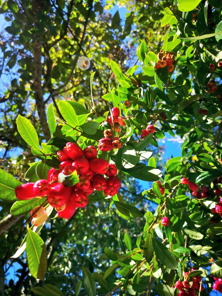 In the end, I just want calm.

I no longer appreciate extravagance and grand. The noise of the world is sickening. Competition. Ranks. Status.

In the end, I crave silence.
Simplicity. Family. Wide open spaces. I just want to rest my heart. ❤️