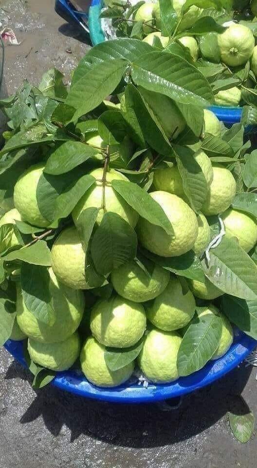 p_dusabimana's tweet photo. How do you call this fruit in your local language? https://t.co/a6db7EJuBT