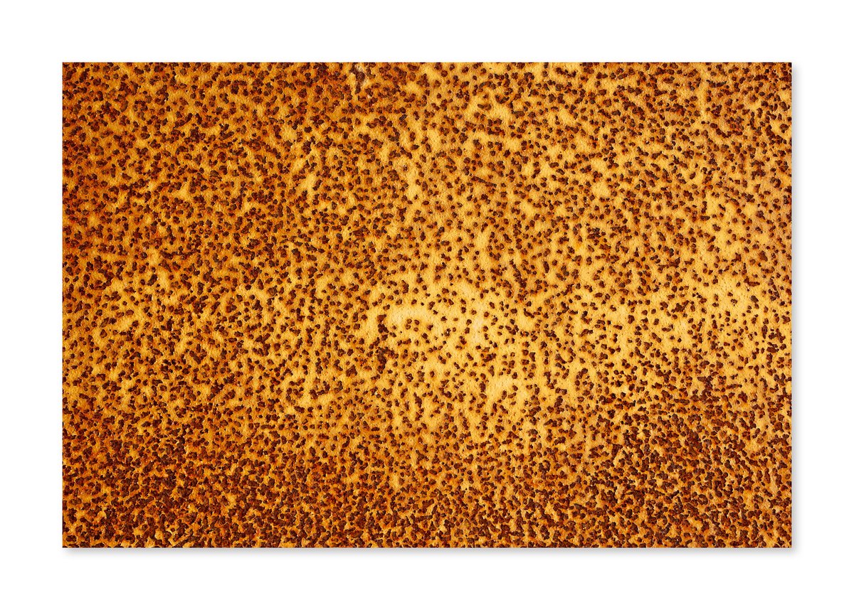 iandaisley's tweet photo. Some more of the lovely rust patterns that I discovered a few days ago.
https://t.co/XRbXvTobrd
@PDArtisans
#rustlove #rustystuff https://t.co/R0b1kf1d79