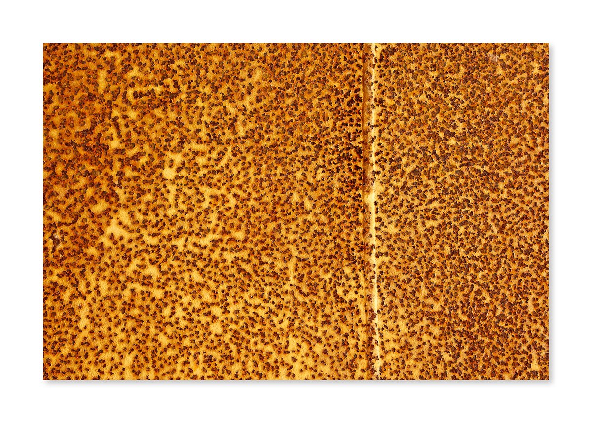 iandaisley's tweet photo. Some more of the lovely rust patterns that I discovered a few days ago.
https://t.co/XRbXvTobrd
@PDArtisans
#rustlove #rustystuff https://t.co/R0b1kf1d79