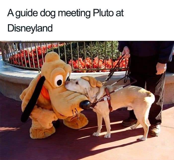 WholesomeMeme's tweet photo. https://t.co/WWFHIZzLcB