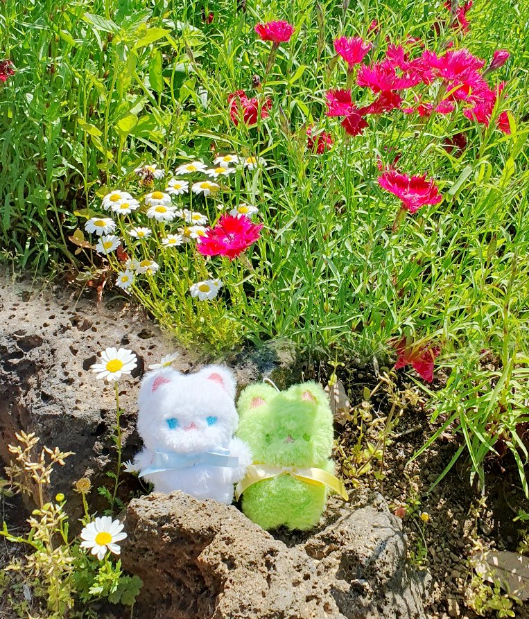 🐰 5월 주문은 쉬어갑니다! 새로운 친구들을 준비중입니다. 😊