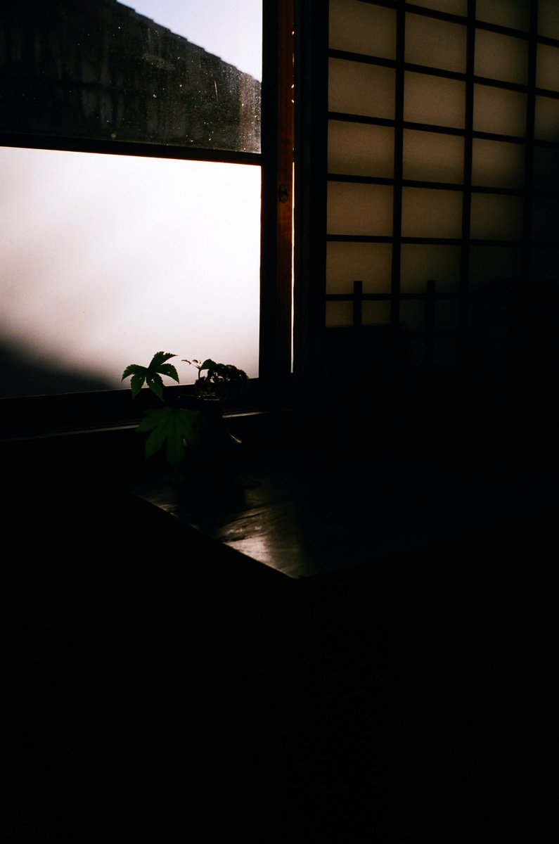 syouga80's tweet image. モニターの中にだけある世界。
モニターの中にしかない世界。
フィルムがピルムに脳内変換される。
ピルムとは古代ローマ軍団の投槍とのこと。

#filmphotography  #SUPERIA #PREMIUM400