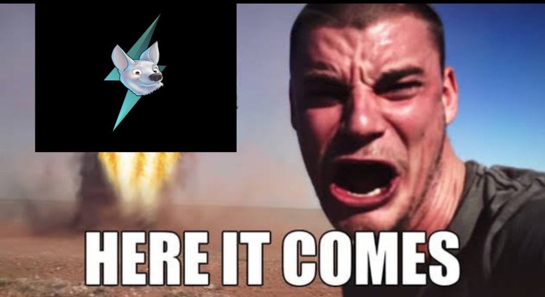 cobra11120011's tweet image. Don&apos;t know how to buy $BOLT? No worries, our comprehensive guide will walk you through the process step by step. Get ready to join the BOLT community! 💪🚀 #howtobuy #BOLT #cryptocurrency&quot;

$BOLT 
 @boltcoinzksync
$BOLT #zksync #airdrop