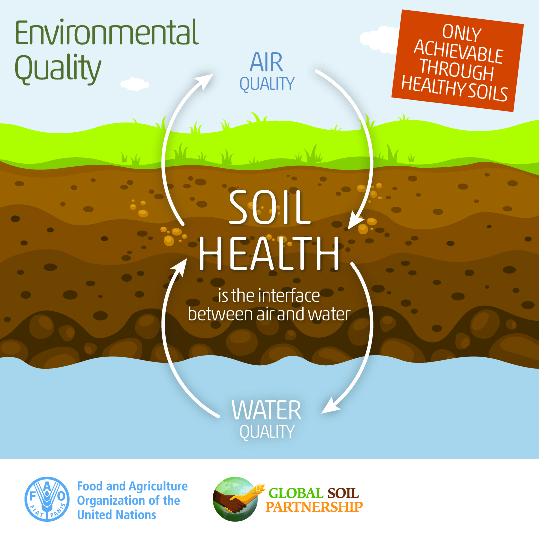 FAOLandWater's tweet image. Healthy soil is the bridge between #air 🌬️ and water 💧 that keeps our planet in balance! 🌍

Let's make sure we're keeping this essential interface healthy for the benefit of the #Environment! #SoilHealth #SaveSoil 

#GlobalSoilPartnership👉🏿👉🏿👉🏿 fao.org/global-soil-pa…