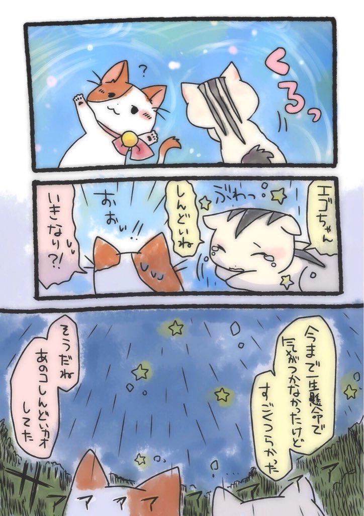 新しい環境の中で進んでいく4月は心と体に負担をかける。大変な時は必死すぎて辛さに気づかなかったりする。そして、ふとした時に疲れとか辛さがどっと押し寄せてきて、つらくて前に進めなくなることも。
頑張ってきた自分を労って、ゆっくり休めますように。
#フロイトの猫