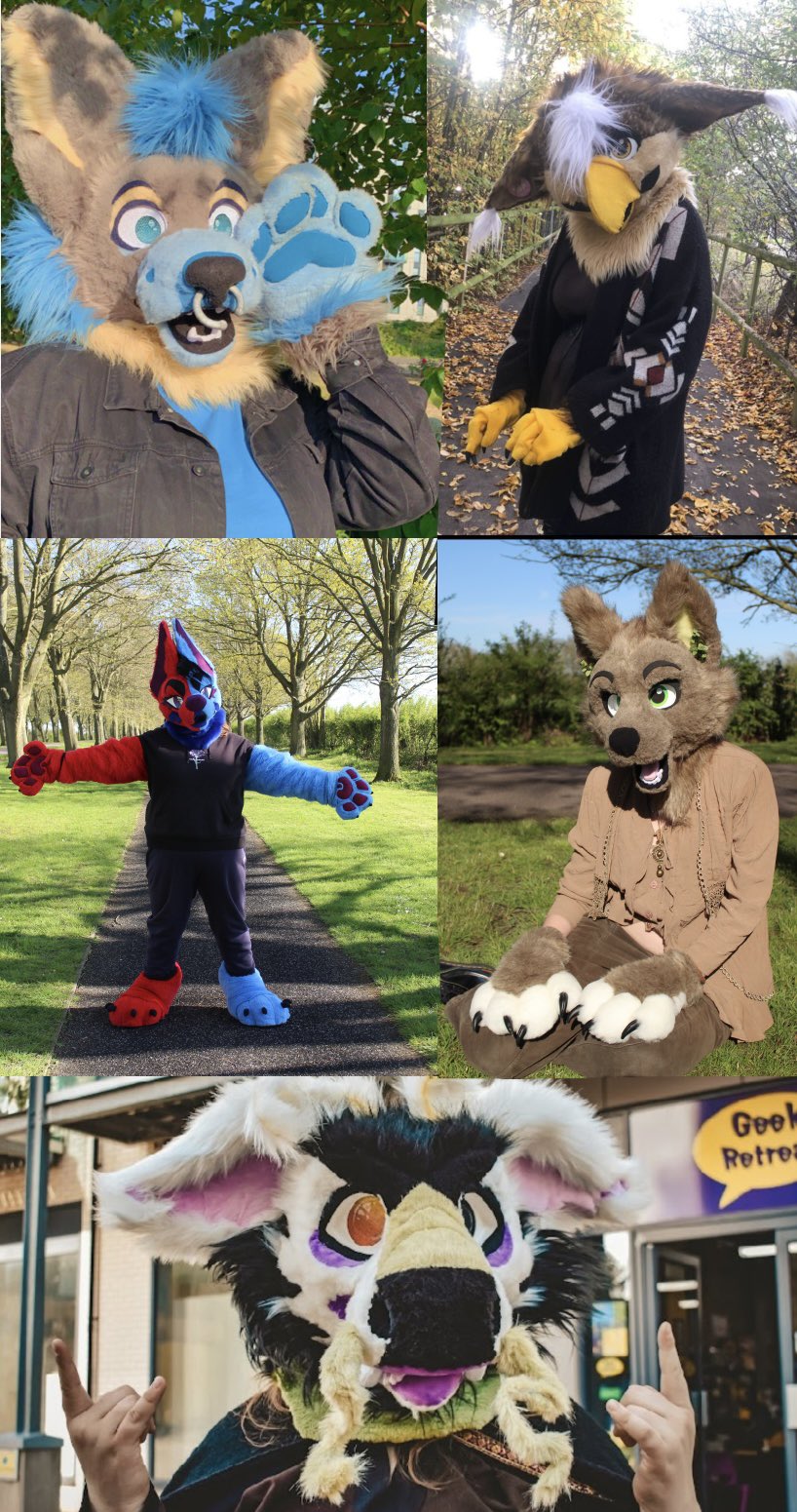 Kibble and pals 🔜 CFZ on Twitter "**UPDATED KIBBLEBOXX SUITS** Kibble