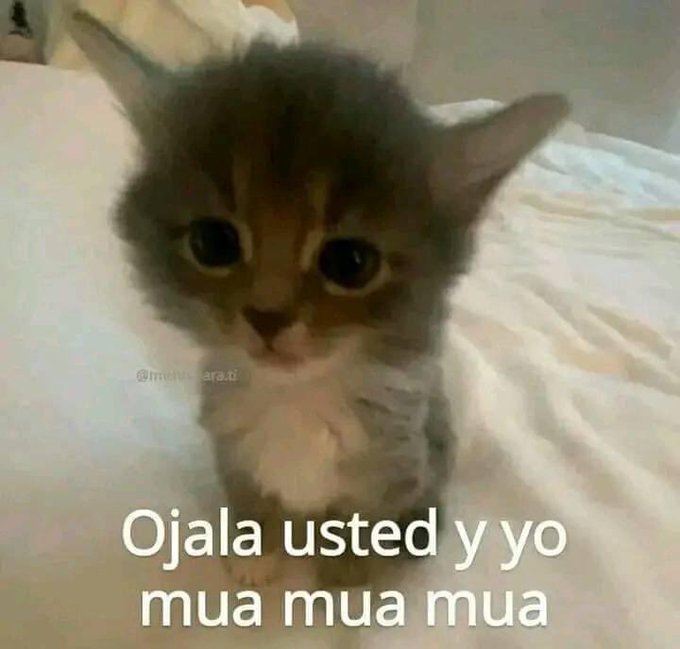 Watch elenita's leaked NSFW photo on TwXstars