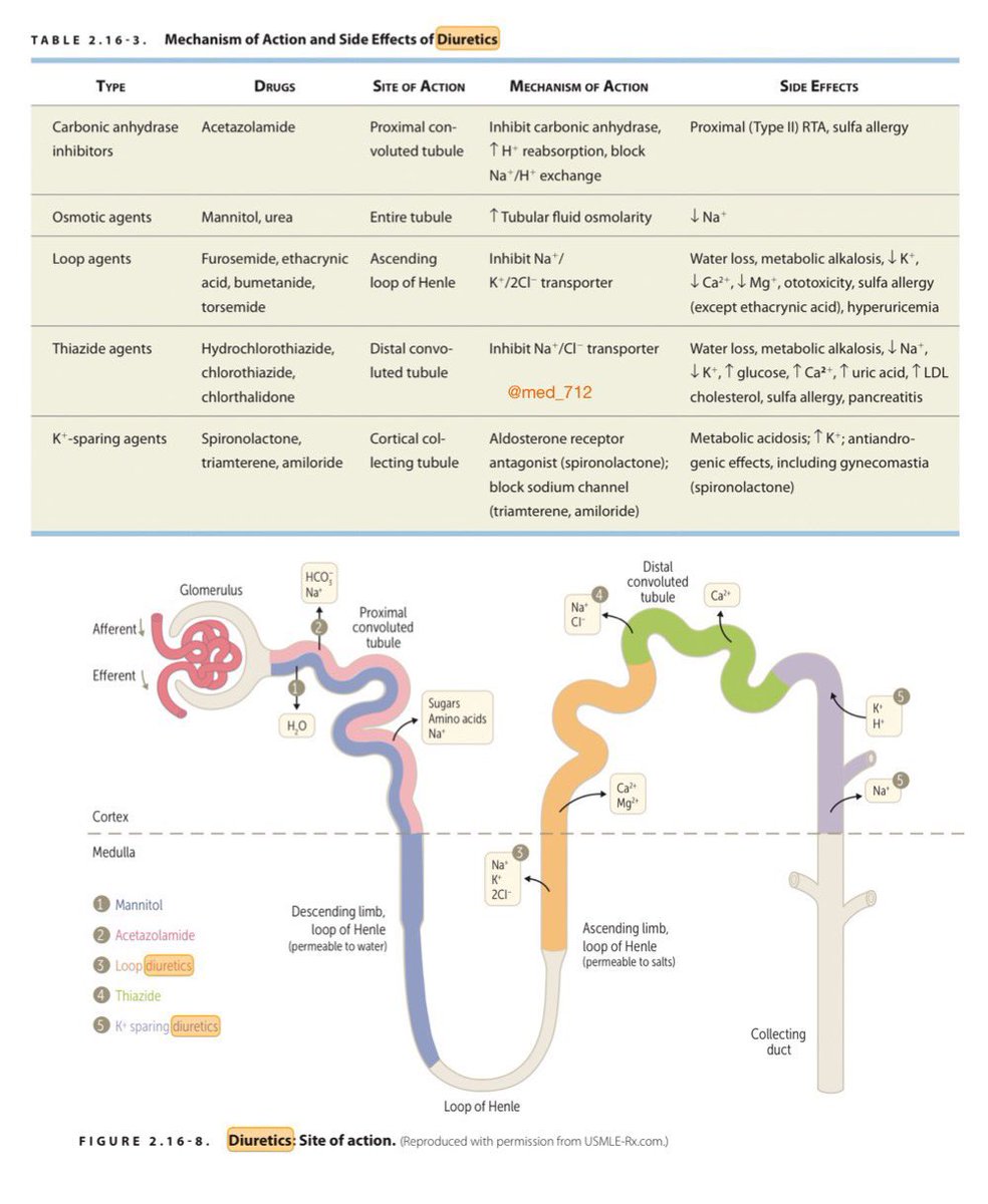 Diuretics: 
site, mechanism of action and side effects

<a href="/med_712/">USMLE NOTS</a> #MedEd #medtwitter