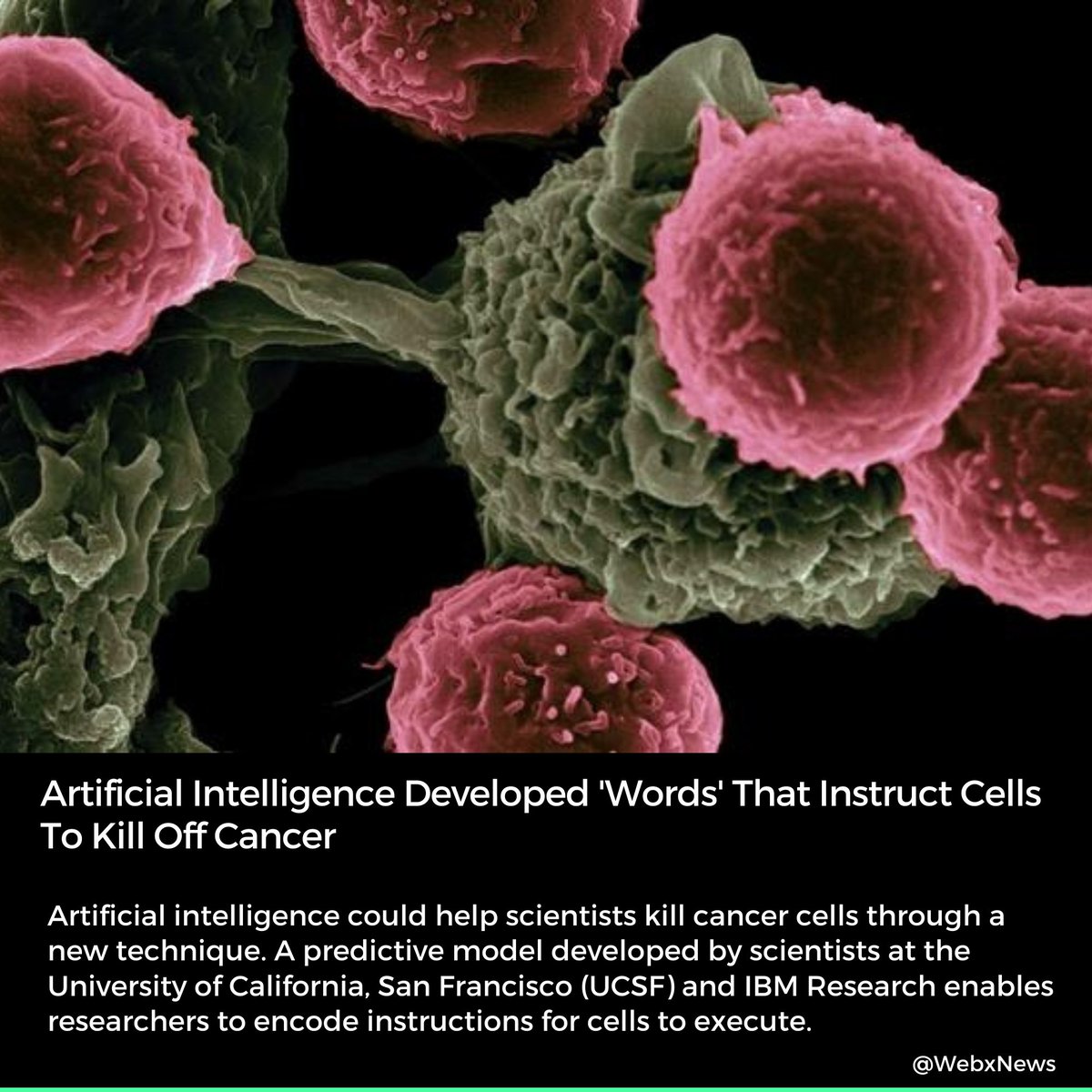 WebxNews's tweet image. Scientists have essentially created a virtual library of thousands of &quot;commands sentence &quot; for cells using machine learning. 

#cancer #aartificialintelligence #scientist #newpost #usa #wxnnews #scientist4future