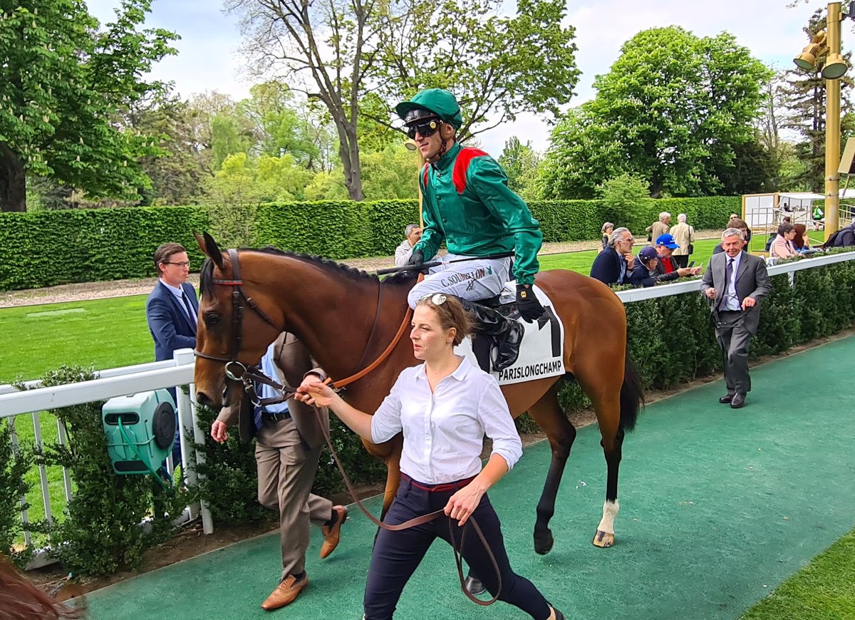 seenthestars's tweet photo. Prix Ganay #Vadeni #RealWorld #SimcaMille #BayBridge https://t.co/d1ObjsXmDj