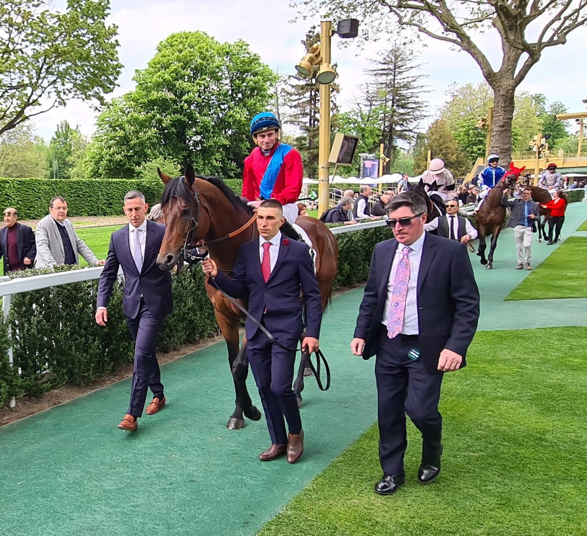 seenthestars's tweet photo. Prix Ganay #Vadeni #RealWorld #SimcaMille #BayBridge https://t.co/d1ObjsXmDj