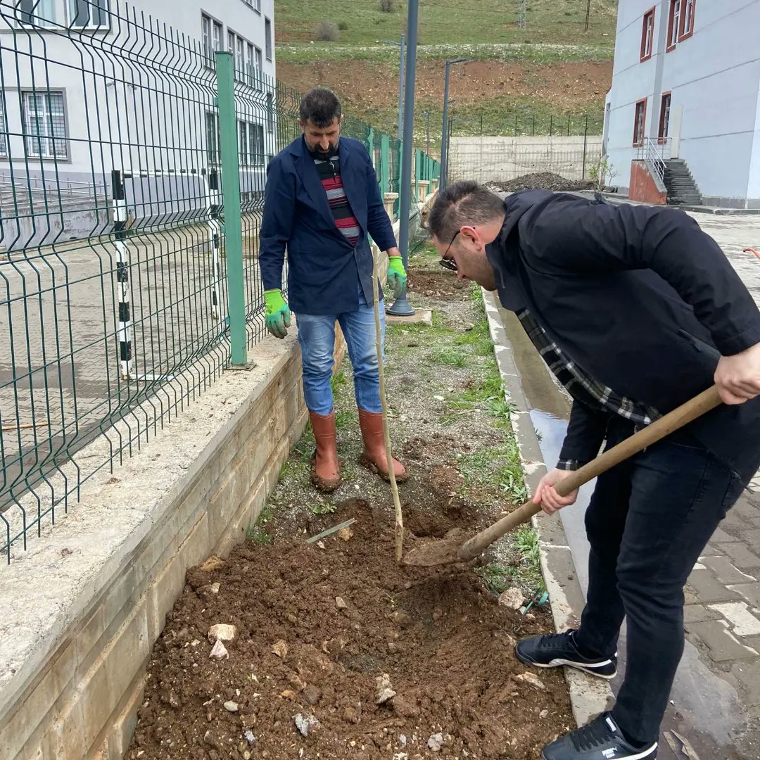 YedisuYBO's tweet photo. Yarın kıyamet kopacağını bilseniz dahi elinizdeki fidanı dikin (S.A.V) 🌱
Bugün okul ve pansiyon bahçesinde meyve ve gül fidanları toprakla buluştu. Emeği ve katkısı olan öğretmen personel ve idarecilere çok teşekkür ederiz. @yusuf_tokus @halukcakan12
@MuhtesimTunc_ @BusraaTunc_ https://t.co/fgbughmov1