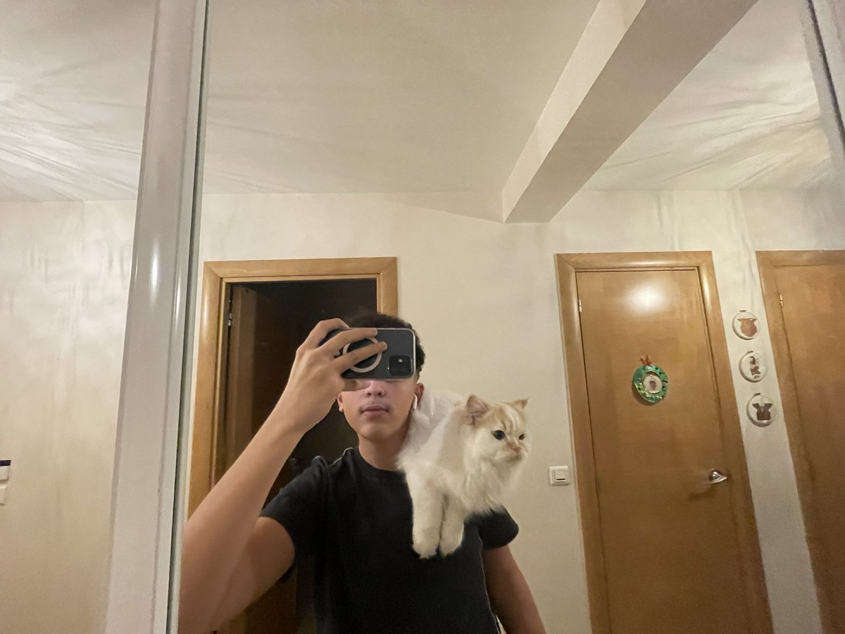 MerchaouiFares's tweet photo. @PicturesFoIder Best cat ever https://t.co/eQY13WMRaS
