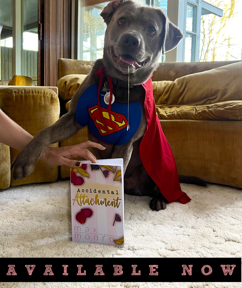 Nicole's Book Musings tweet media