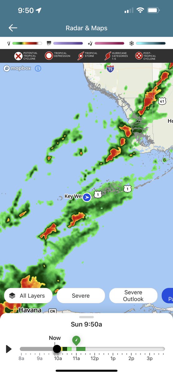 Angela M DiLoreto tweet media