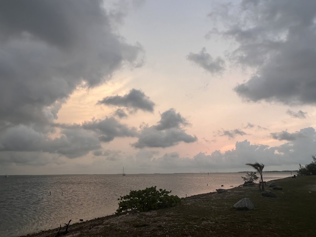 Angela M DiLoreto tweet media