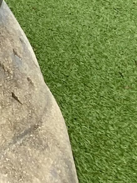 EyeSpyLdn's tweet photo. Last @EyeSpyLdn clue reveal:
Queens Park, Western Fair @WesternFair @CityofLdnOnt
Amazing ID by @trojan_yeoman!🏆🤩
On early #eyespy #LdnOnt #Clue1
Follow us and play along!
#eyespyldn https://t.co/IOSHoEdZOn