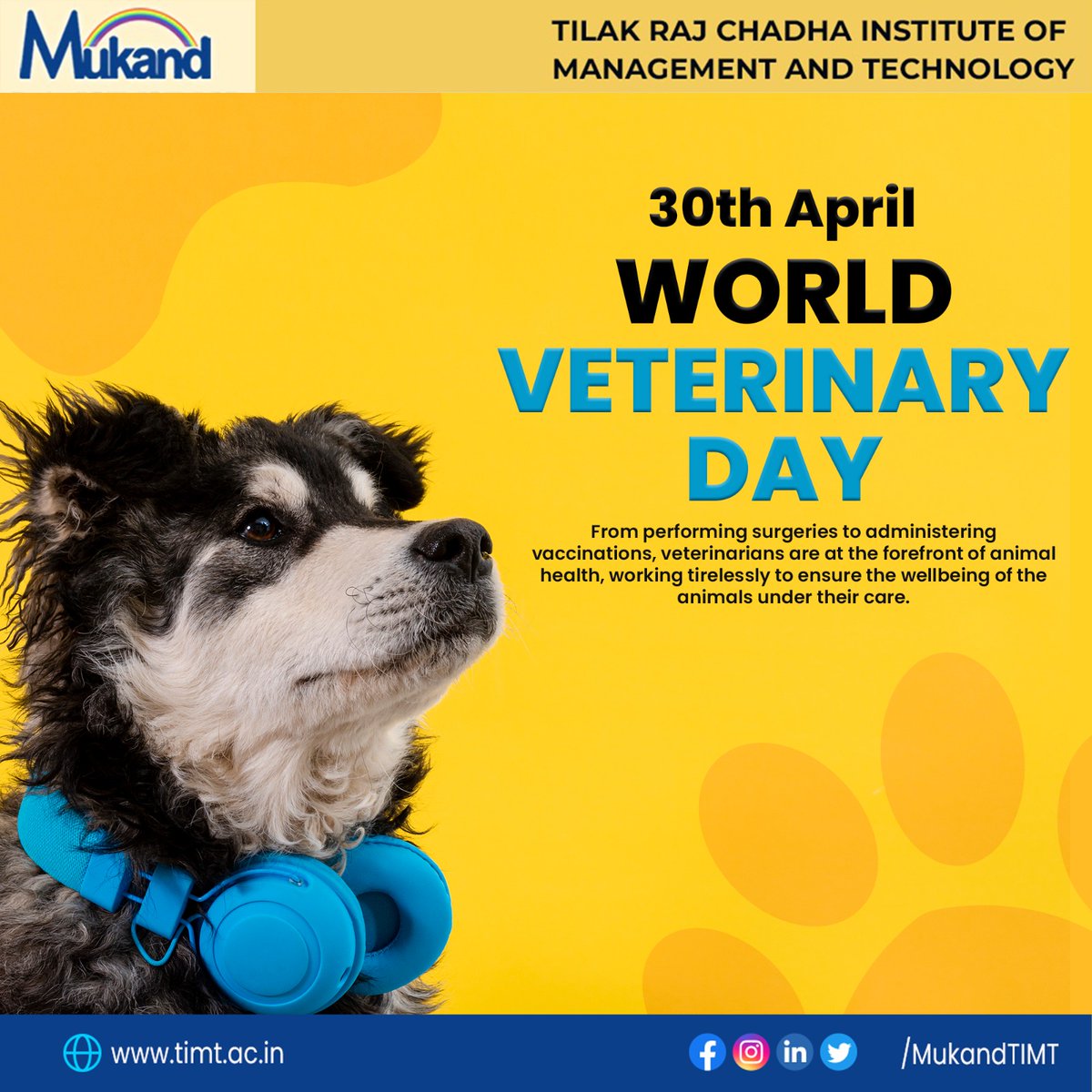 On World Veterinary Day, we honor the tireless efforts of veterinary professionals around the globe who work tirelessly to protect the health and welfare of animals.
#VeterinaryProfessionals #AnimalWelfare #WorldVeterinaryDay #TIMT