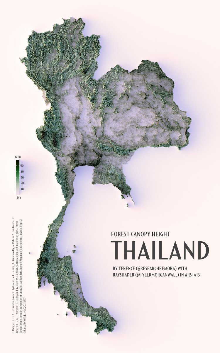 researchremora's tweet photo. Found this hiding amongst my renders—a forest canopy height map of Thailand using data from 2019. 

#rayshader adventures, an #rstats tale https://t.co/U4Xv01pTQM