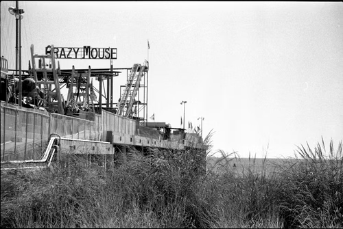 chal_and_bean's tweet photo. Down the Shore ~ crazy mouse - 0.008 ETH
https://t.co/HLrABm0uZP
https://t.co/ziXk1jtVAq
@Opensea #OpenSeaNFT #nftphotography https://t.co/YoJqr1zVQW