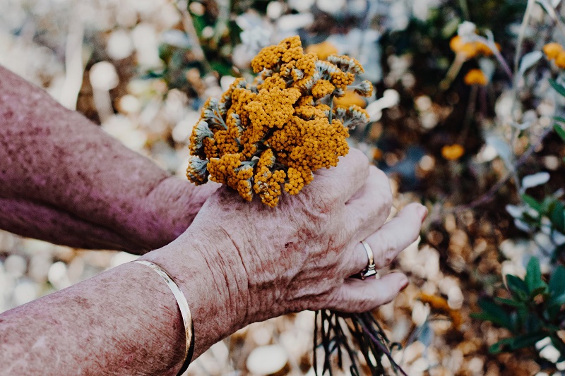 LEMastilock's tweet photo. Far away, that look in your eyes, are you seeing into the past? A poem of love &amp; caring for one with #Alzheimers #Dementia - I Know For You https://t.co/zYjUsH5DNY  #napowrimo #poetry #lovepoem https://t.co/gBYzBgTW7s