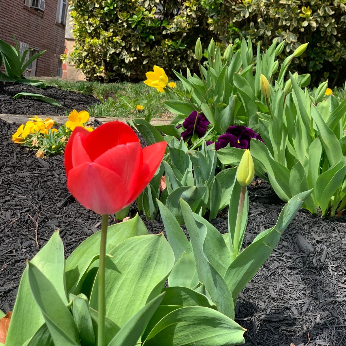 The Parks at Walter Reed tweet media