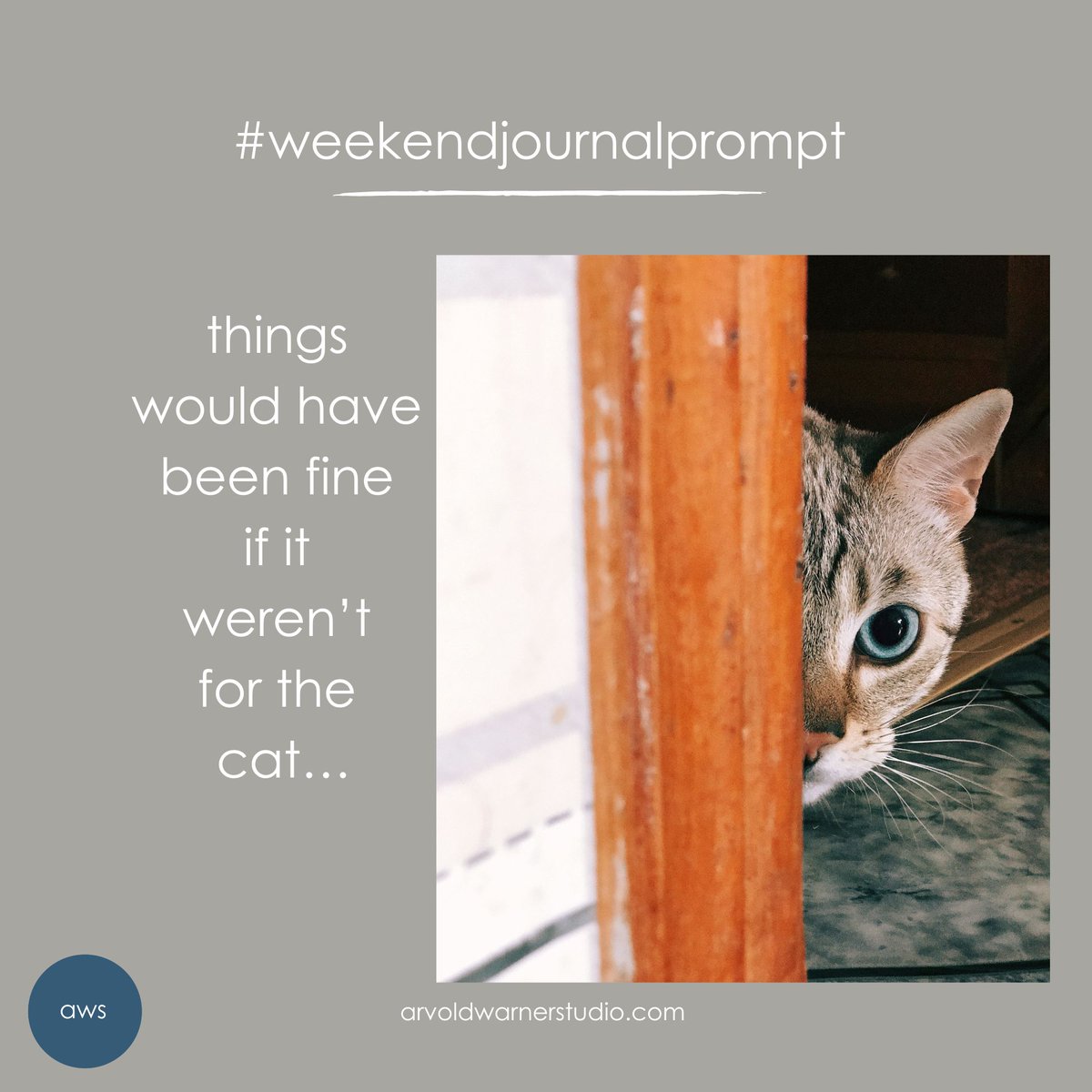 Use the line above to inspire a story. Is this the opening line or the closing? Does it work best in the middle? Make this piece as long or as short as you like. Share your favorite part in the comments below!